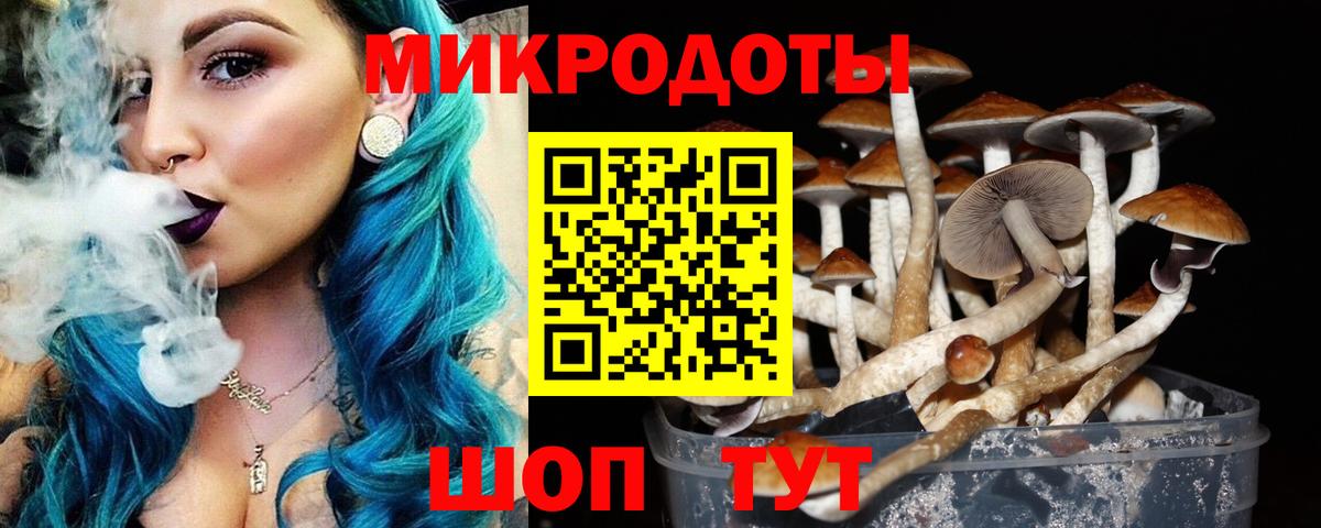 Псилоцибиновые грибы Psilocybine cubensis Урай
